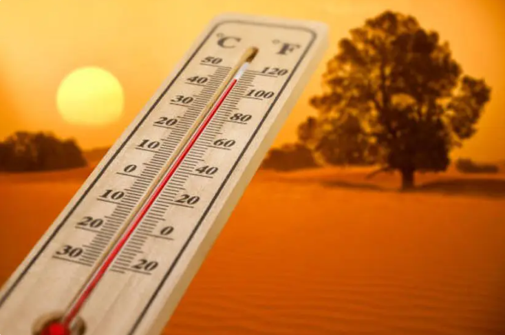 Alerta: Brasil vai registrar onda de calor com temperaturas de até 45 ºC 